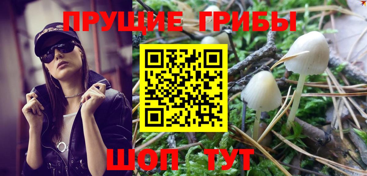 Галлюциногенные грибы GOLDEN TEACHER  наркотики  Протвино  Вход с VPN 